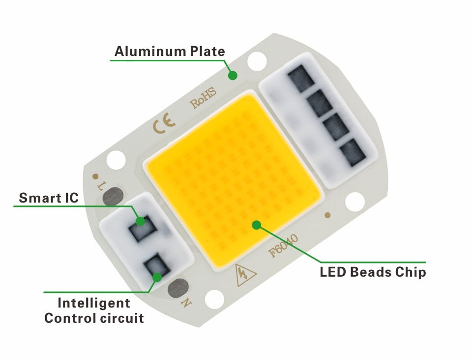 LED 110V 220V LED Chip 10W 20W 30W 50W COB Chip No Need Driver LED Lamp Beads for Flood Light Spotlight Lampada DIY Lighting