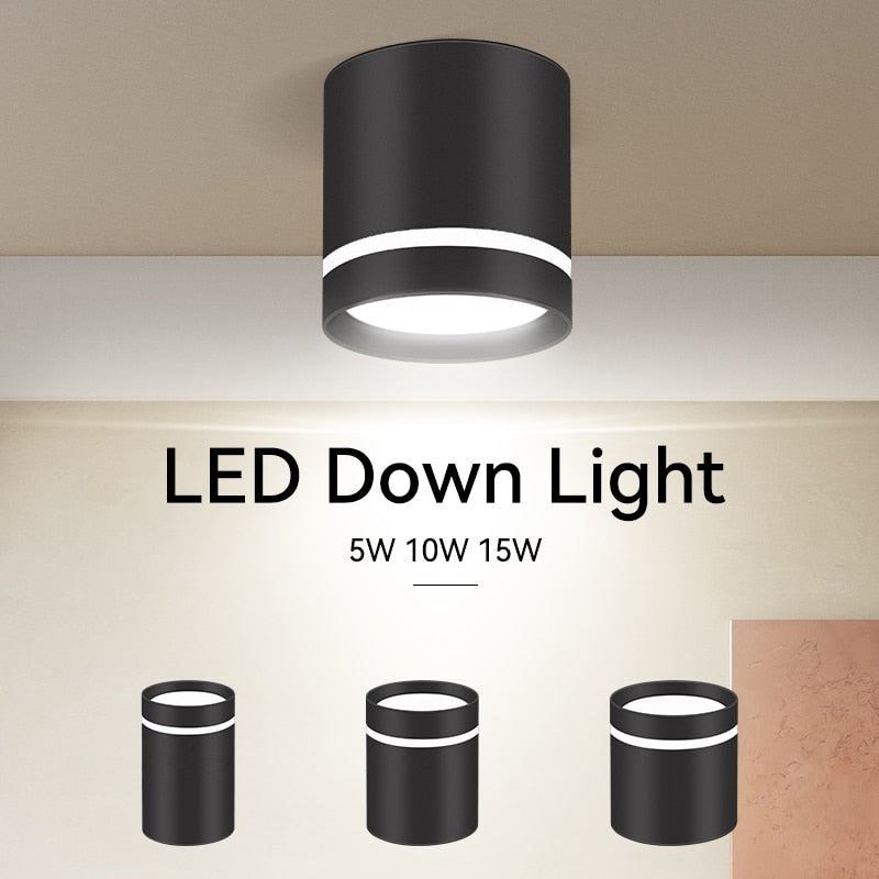 LED Downlights Light Fixture 220V 25W 15W 10W 5W Ceiling Spots Lamp Surface Mount Down Light Lighting for Home Store Downlight