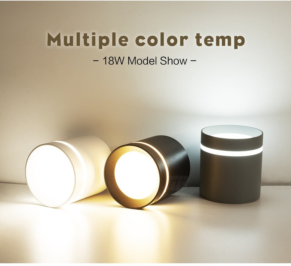 Led Downlight Surface Mounted 18W 12W AC220V Cold Warm Neutral Light SpotLamp Ceiling Fixtures For Living Room Kitchen Lighting