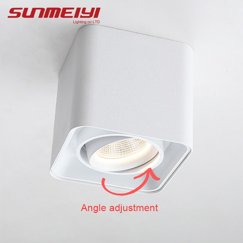 Adjustable Surface Mounted Square Downlight Daring Lamp Nordic Spot Light Ceiling Lamp Corridor Aisle Porch