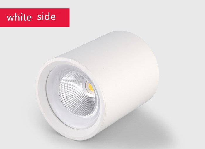 Surface Mounted LED COB Ceiling LED Downlight 10W 15W 20W 30W 50W 110V 220V Black White Round Indoor Lighting 3000K 6000K