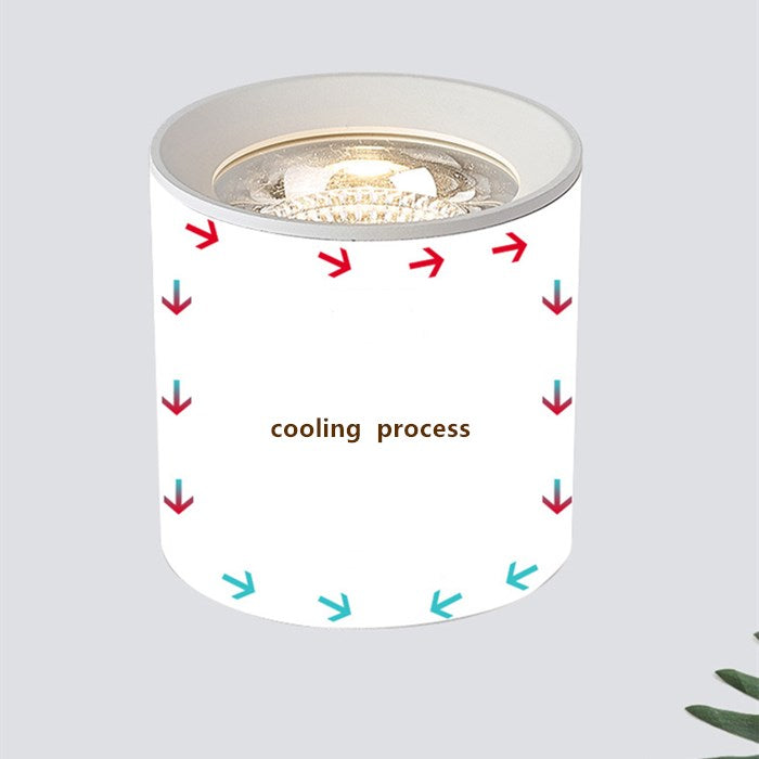 Surface Mounted LED COB Ceiling LED Downlight 10W 15W 20W 30W 50W 110V 220V Black White Round Indoor Lighting 3000K 6000K