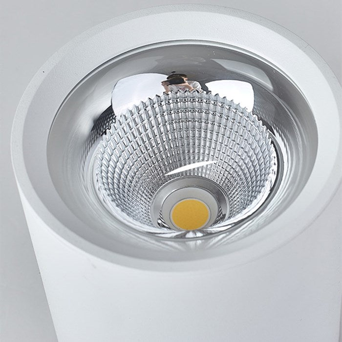 Surface Mounted LED COB Ceiling LED Downlight 10W 15W 20W 30W 50W 110V 220V Black White Round Indoor Lighting 3000K 6000K