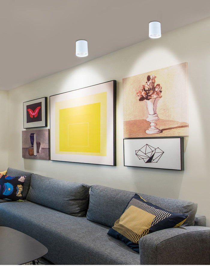 Surface Mounted LED COB Ceiling LED Downlight 10W 15W 20W 30W 50W 110V 220V Black White Round Indoor Lighting 3000K 6000K