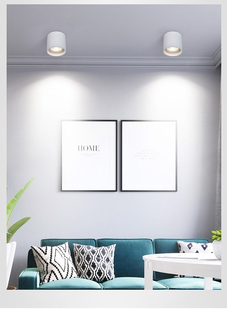 Dimmable LED Spotlight 7W 10W 15W 20W 110V/220V Downlight Angle Adjustable Ceiling Type Living Room Bedroom Household Spotlight