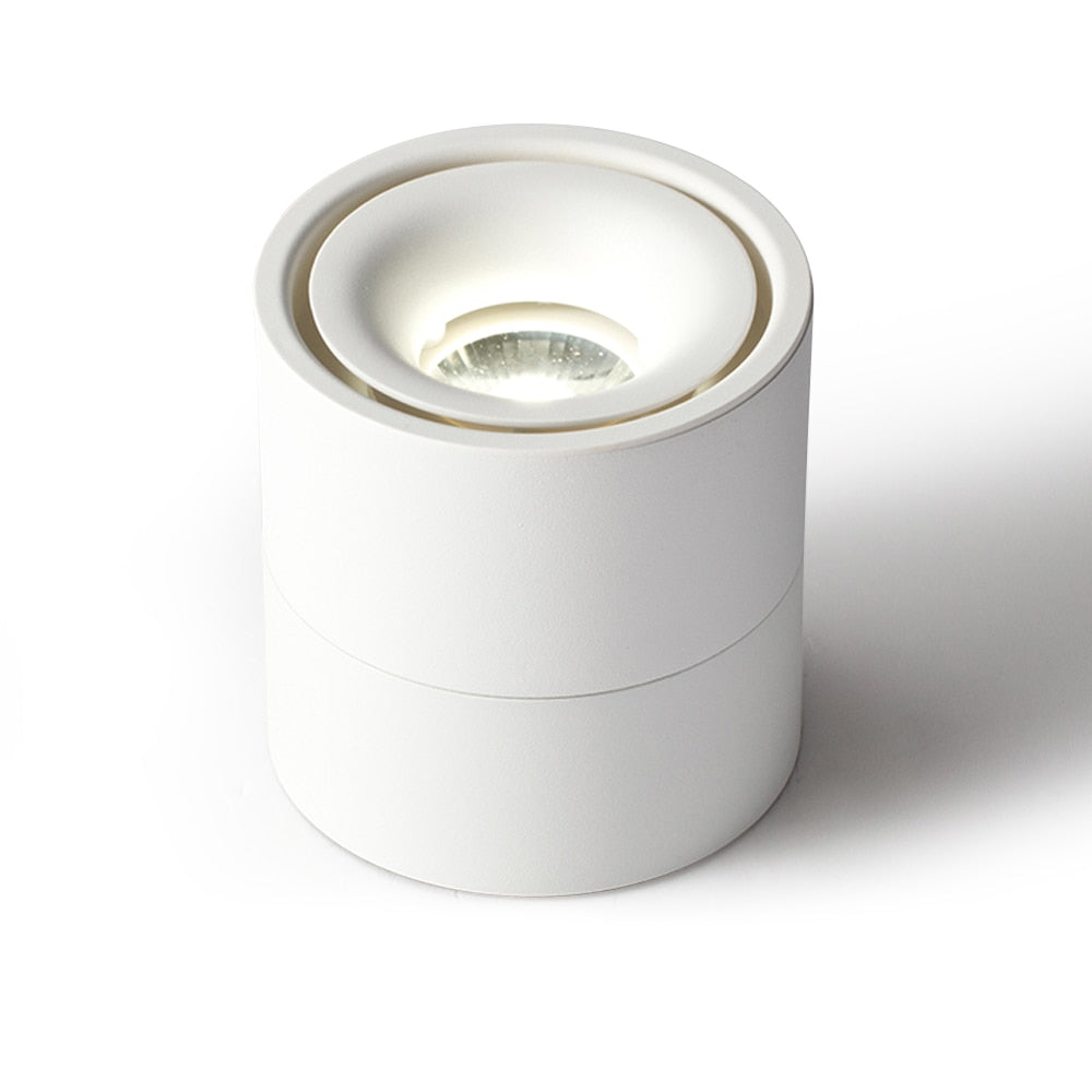 360 Degree Rotatable 90 Degree Folding Surface Mounted Downlight Dimmable 7W 10W 12W 15W Angle Adjust Ceiling Light Home Bedroom