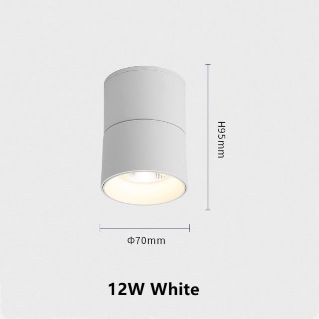Surface Mounted Ceiling Light 12W 18W 24W Dimmable Downlight Warm Natural Cold White AC85-265V Indoor Home Lighting