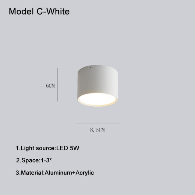 Nordic Surface Mounted Downlight Led Ceiling Light Home Living Room Round Simple Modern Xuanguang Aisle Lighting Corridor Light