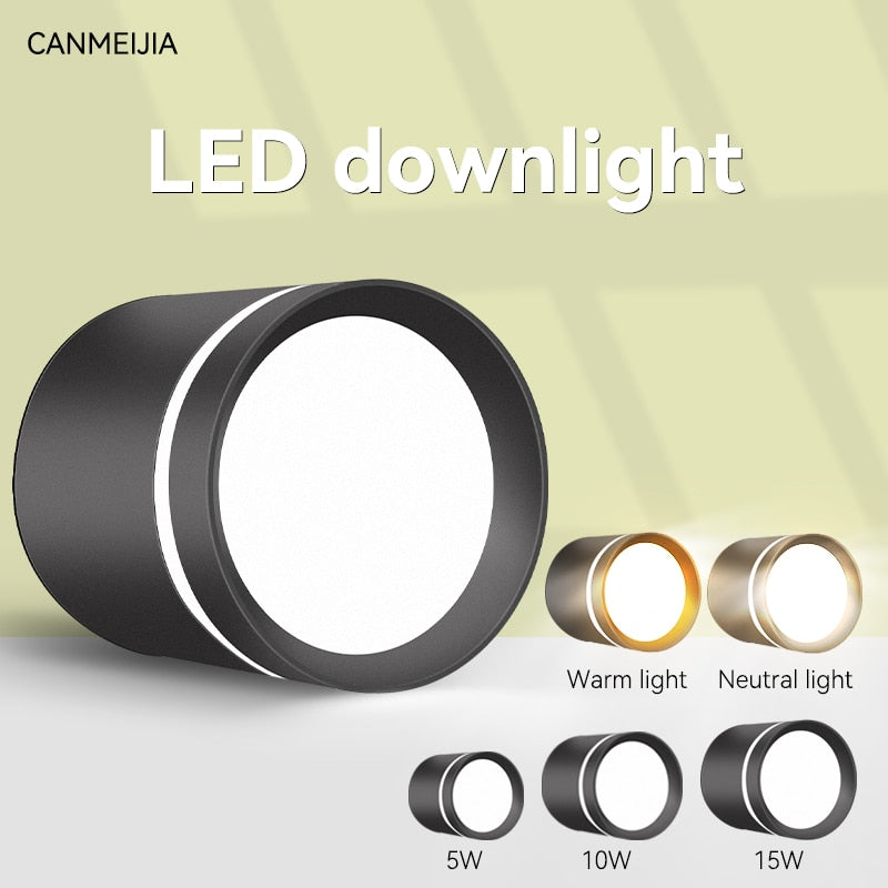 LED Downlights Light Fixture 220V 25W 15W 10W 5W Ceiling Spots Lamp Surface Mount Down Light Lighting for Home Store Downlight