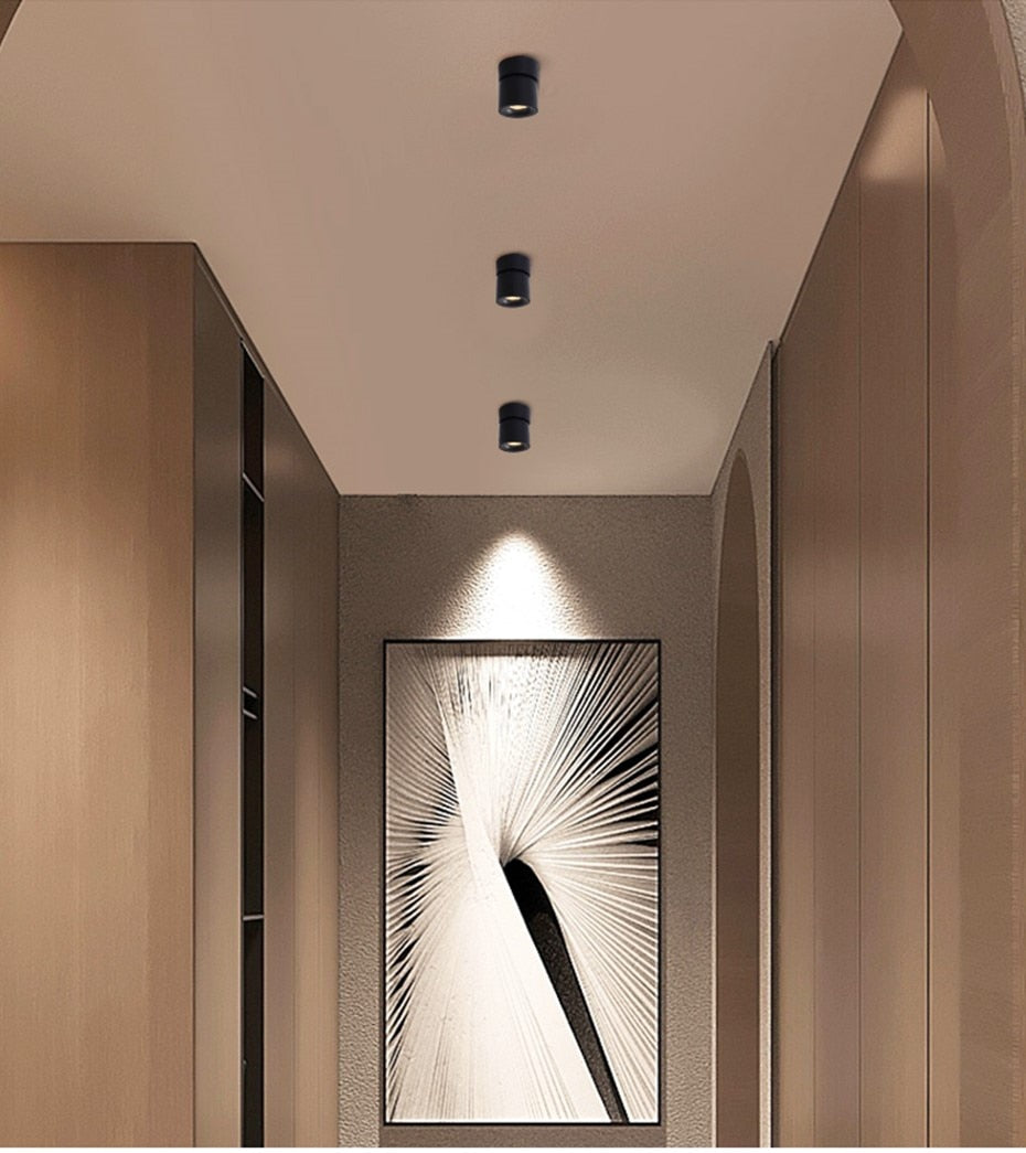 Dimmable LED Downlights Surface Mounted Led Lamp 220V 110V Spotlight Ceiling 12W 15W 18W Down Light For Kitchen Indoor Lightings