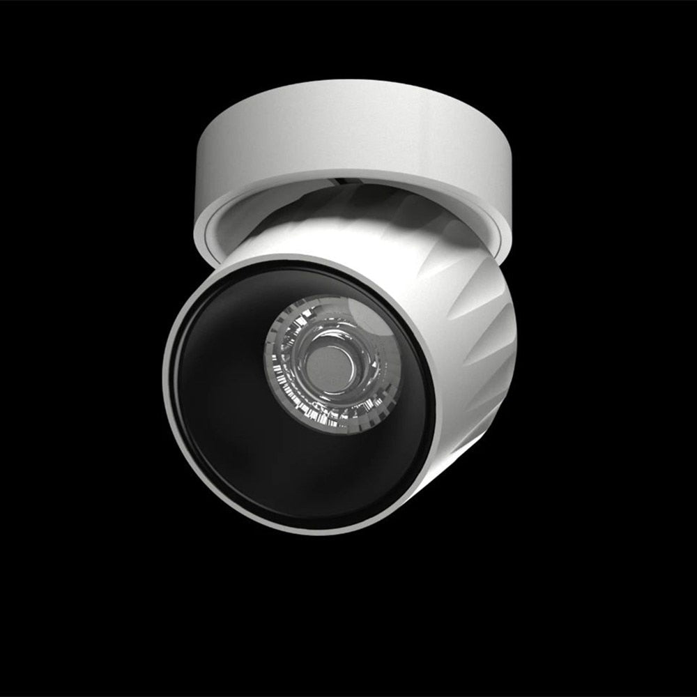 Dimmable Led Surface Mounted Ceiling Downlight Adjustable 360 degrees Nordic Spot light for indoor Foyer,Living Room AC 90-260V