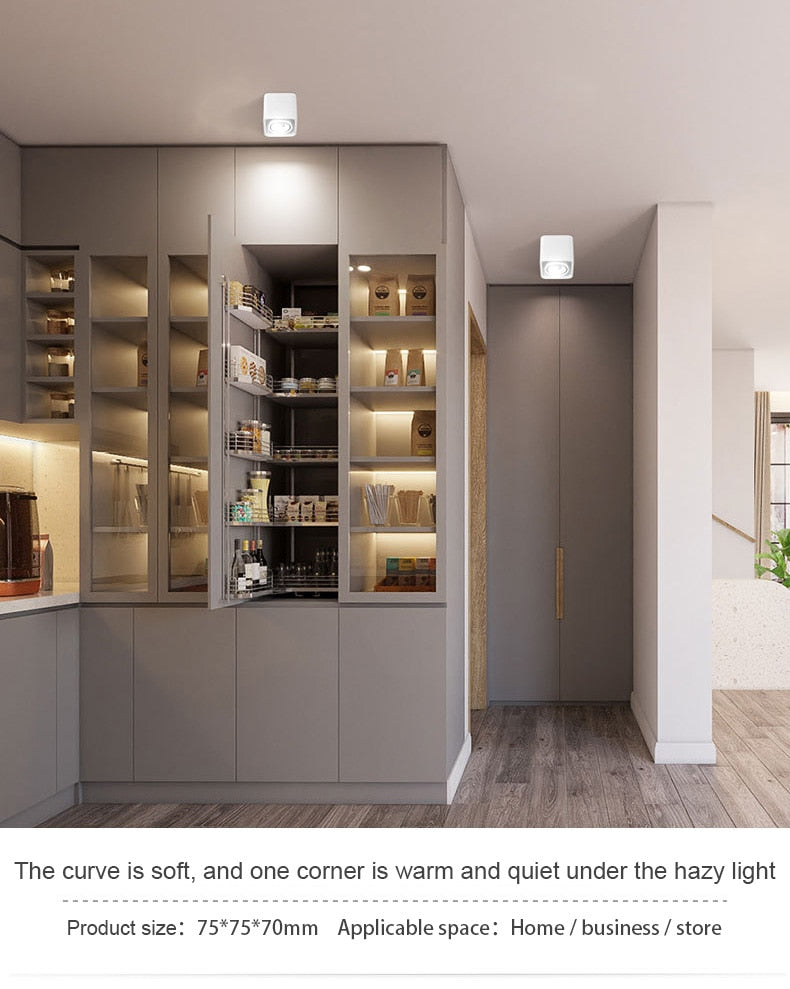 FLKL LED Downlight Ceiling Spotlights Living Lamp Nordic Lighting For Kitchen Aisle Spot Light Surface Mounted AC90-250V