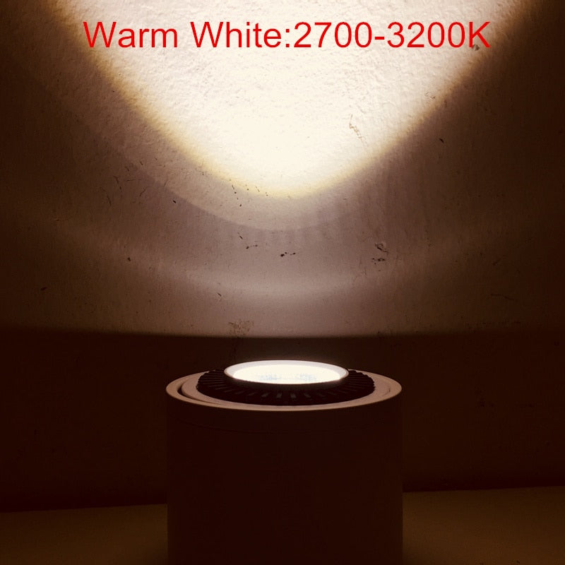 DHL Free 10pcs Surface Mounted COB LED Downlight 5W 7W 9W 15W Down Light LED Spot light lamp AC85-265V Warm/Natural/Cold White