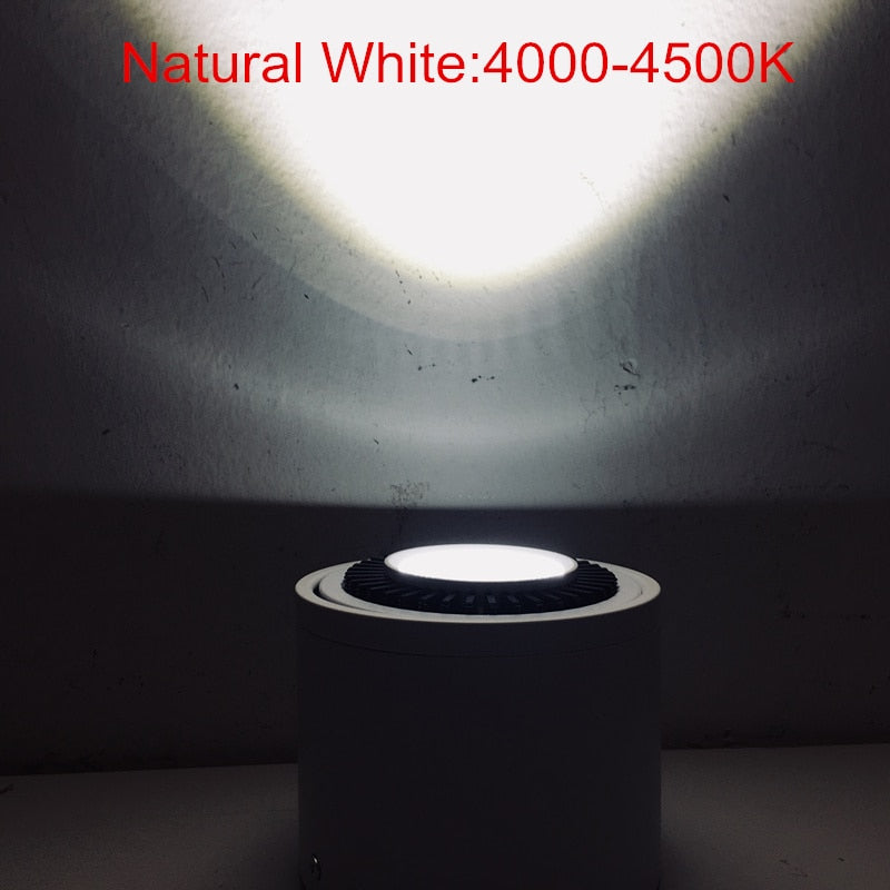 DHL Free 10pcs Surface Mounted COB LED Downlight 5W 7W 9W 15W Down Light LED Spot light lamp AC85-265V Warm/Natural/Cold White