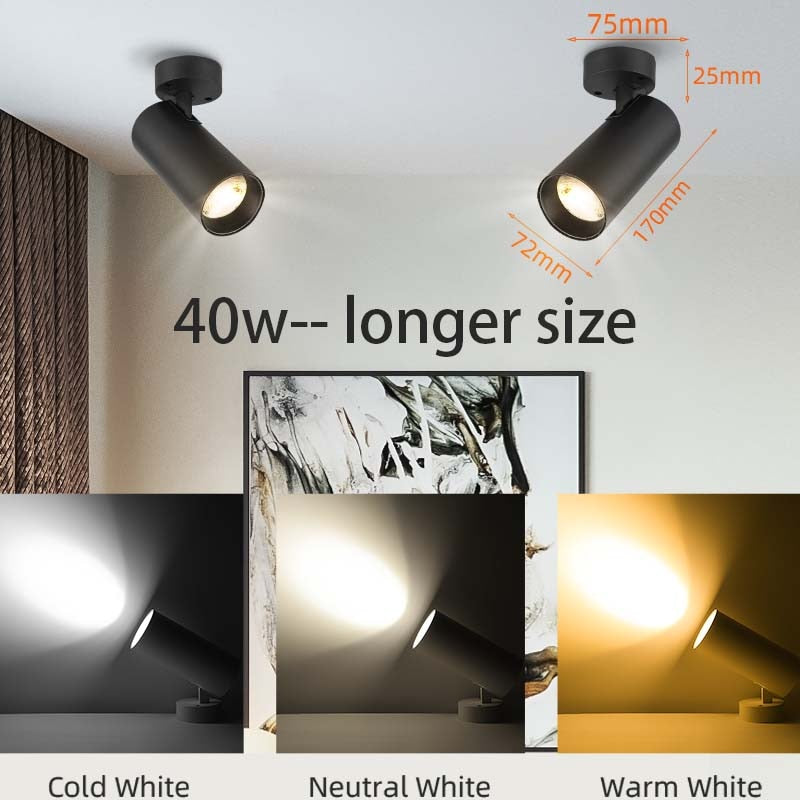 Led Spotlights COB Foco Led Spot Light Lamp Ceiling 10W 20/30W Track Lights Foldable Downlight for Home Shop Clothing Store 220V
