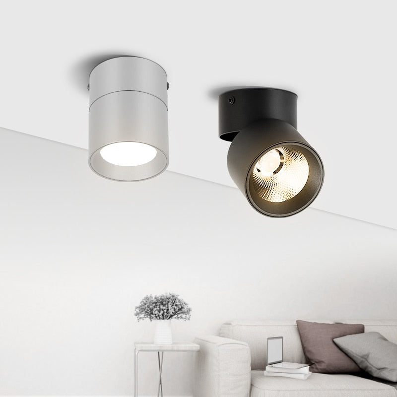 Led Spotlights COB Foco Led Spot Light Lamp Ceiling 10W 20/30W Track Lights Foldable Downlight for Home Shop Clothing Store 220V