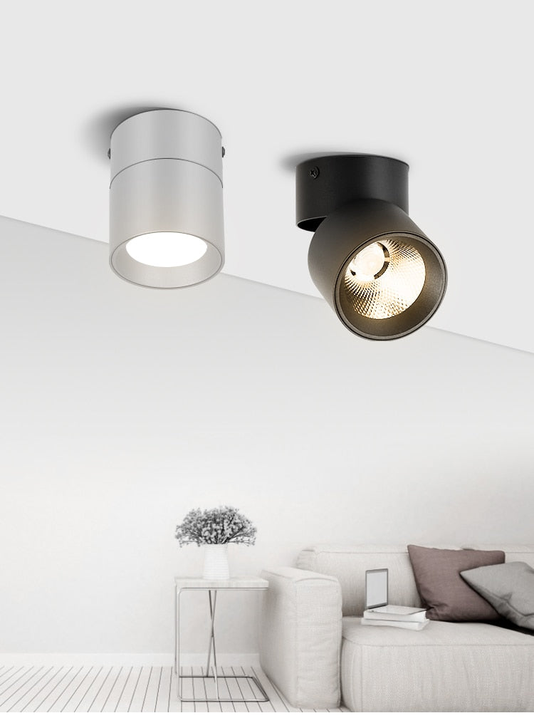 Led Spotlights COB Foco Led Spot Light Lamp Ceiling 10W 20/30W Track Lights Foldable Downlight for Home Shop Clothing Store 220V