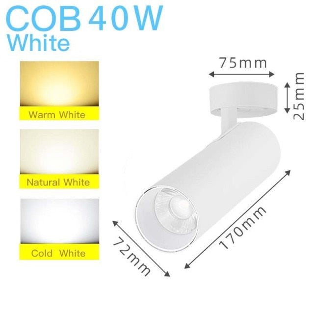 Led Spotlights COB Foco Led Spot Light Lamp Ceiling 10W 20/30W Track Lights Foldable Downlight for Home Shop Clothing Store 220V