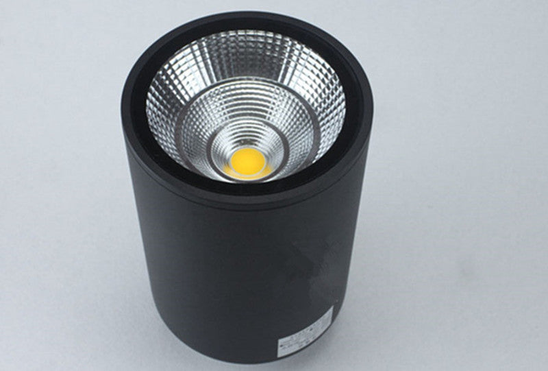 Surface Mounted Led Downlight Ceiling Spot Light 5-20W Brightness AC85-265V Outdoor Hotel Home Indoor Lighting Waterproof IP65