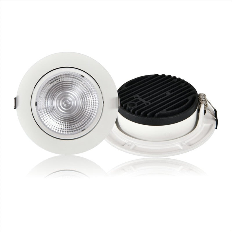 Ultra-Thin Led COB Downlight 3W-40W Recessed Spotlight AC 90V-260V 3000K 4000K 6000K For living Room Lighting