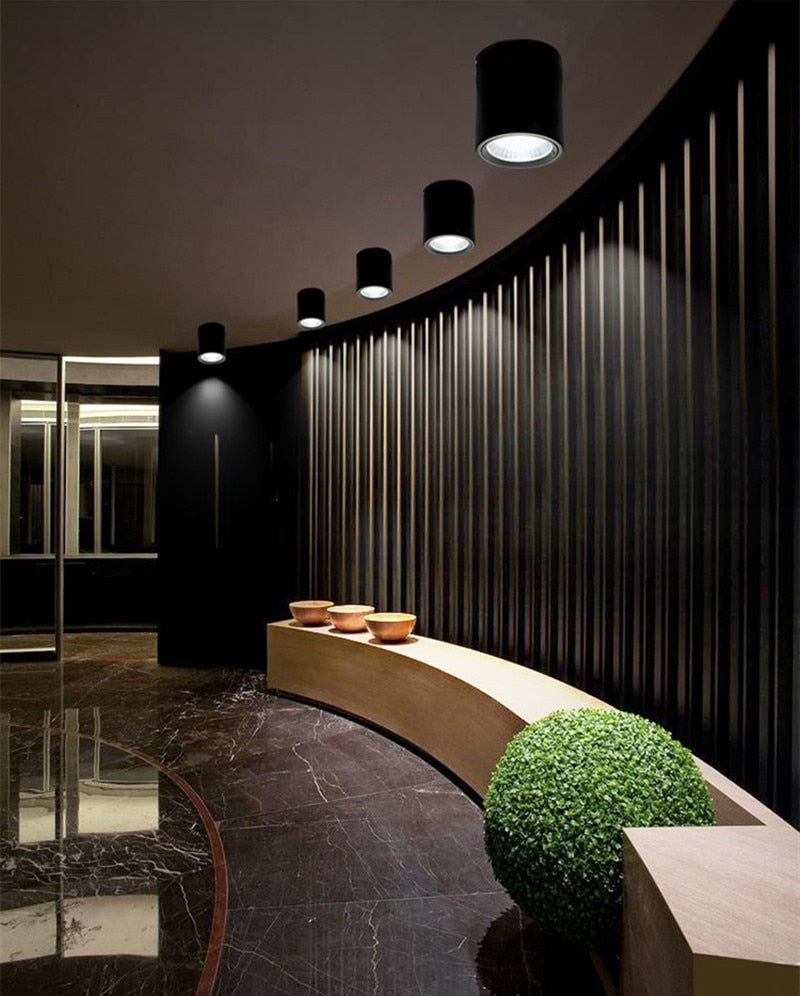 Surface Mounted Round LED COB Downlight 10W 15W 18W 24W Dimming AC 85-265v Ceiling Lamp Spotlight 40° For Shopping Mall Lighting