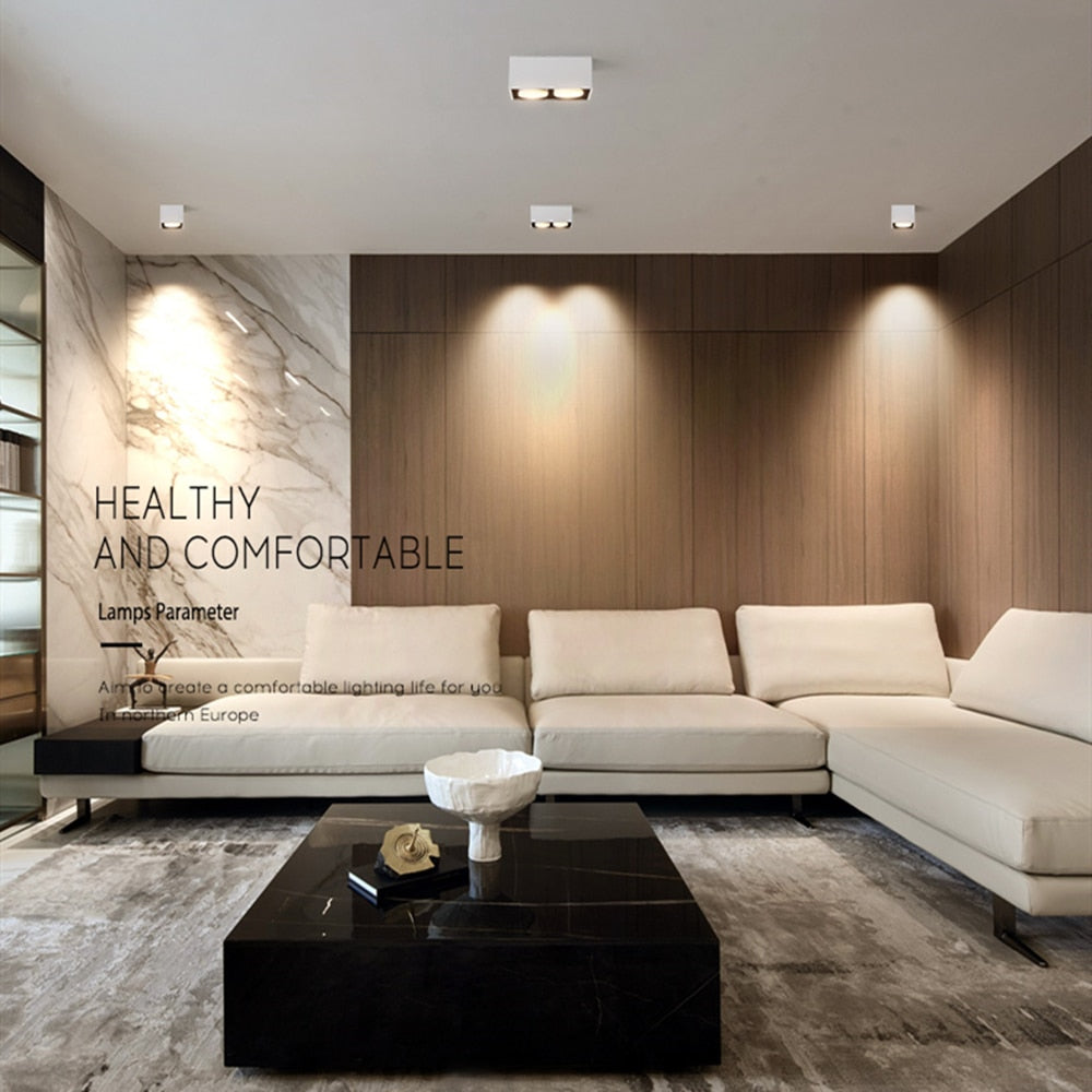 DBF Angle Adjustable 1 / 2 Heads Surface Mounted Downlight Holder with GX5.3 Bulb for Living room Bedroom TV Background Indoor Spot