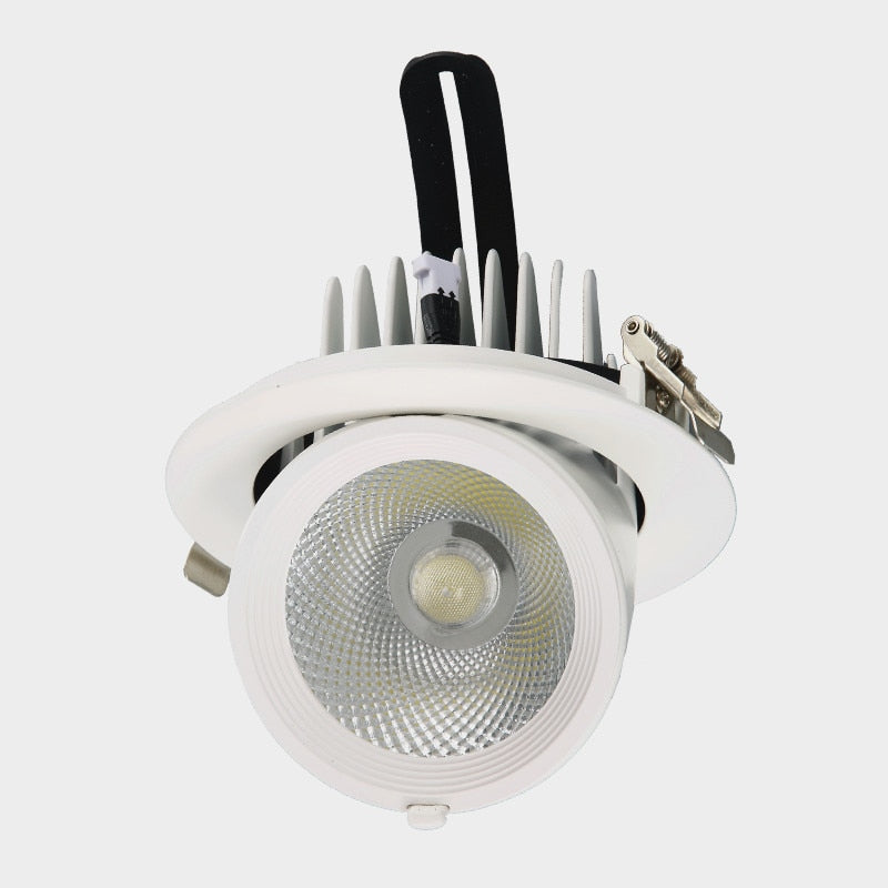 Dimmable Embedded Retractable LED Downlights 10W 20W 30W AC85-265V Adjustable 360° COB LED Ceiling Spot Lights Indoor Lighting