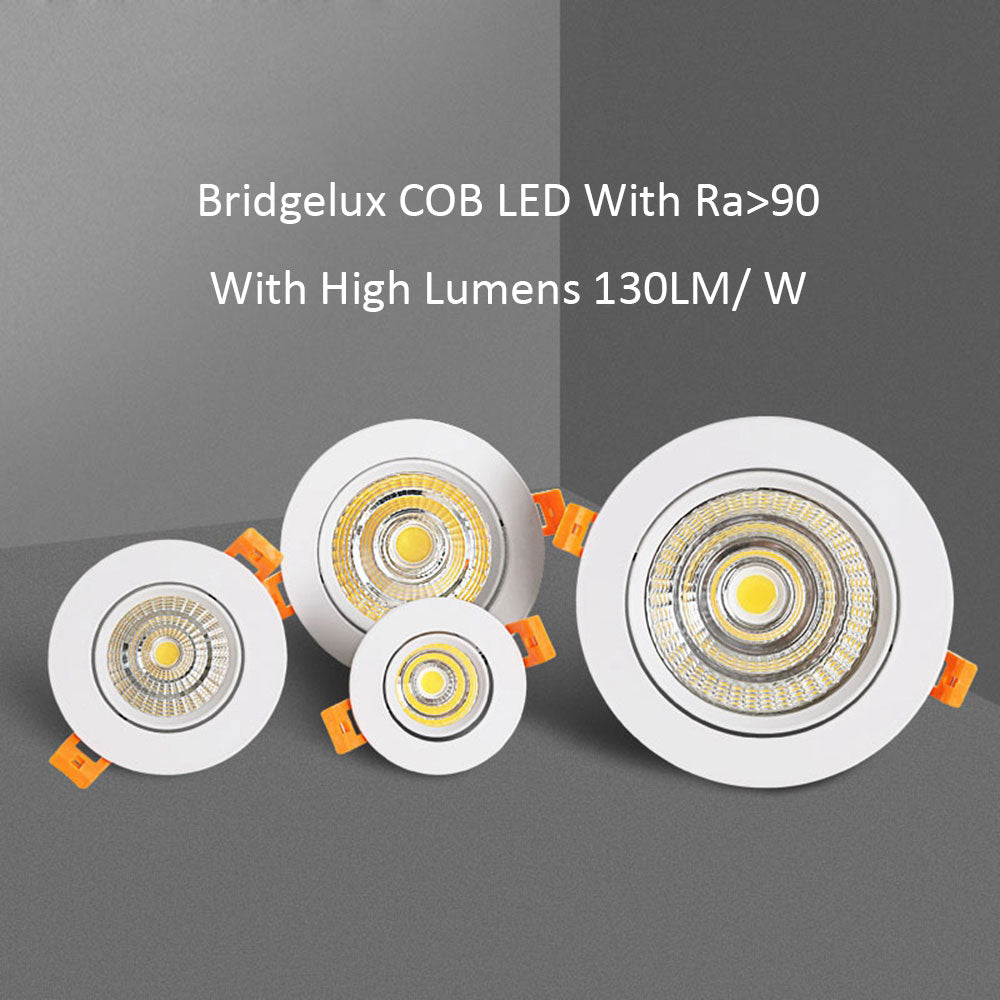 LED Recessed Downlight 3W 5W 7W 10W 12W 15W 20W 24W Spot LED DownLights Dimmable AC85-265V 220V 110V LED Spot Light