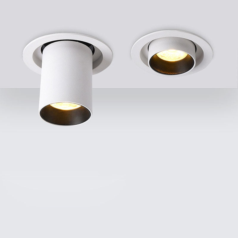 Angle Adjust 360° Rotate Stretchable LED Recessed Downlight 12W 15W 20W 25W LED Ceiling Spot Light Kitchen Living room Indoor