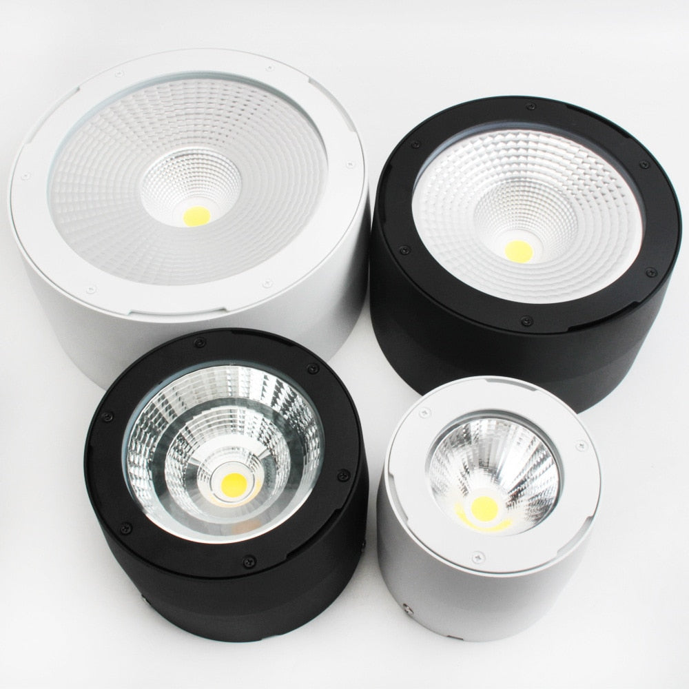 Commercial Lighting Waterproof IP65 Led Spotlight Lamp Surface Mounted Led Ceiling Cob Downlight for Outdoor Shop Balcony Hotel