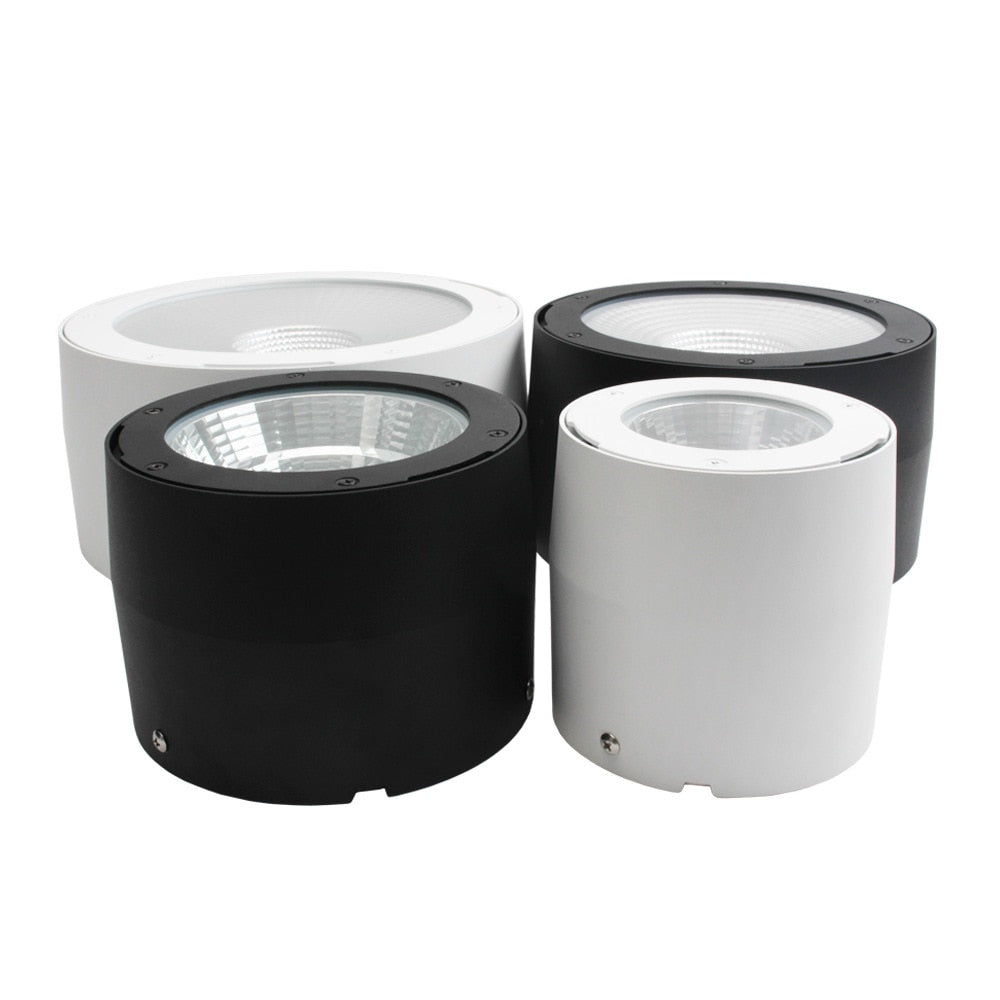 Commercial Lighting Waterproof IP65 Led Spotlight Lamp Surface Mounted Led Ceiling Cob Downlight for Outdoor Shop Balcony Hotel