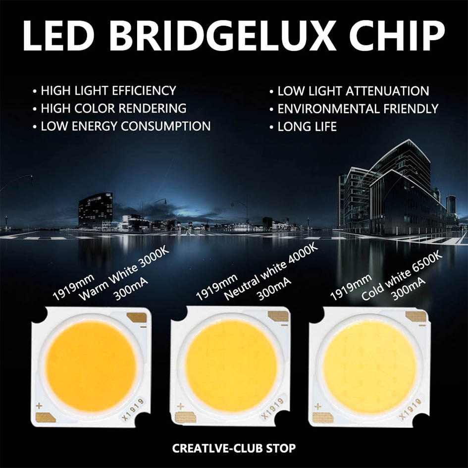 LED COB Chip Light-emitting 10pcs 1919 10W 20W 30W 40W Diode Imported Bridgelux Crystal Chip DC30-33V DIY Downlight Panel Light