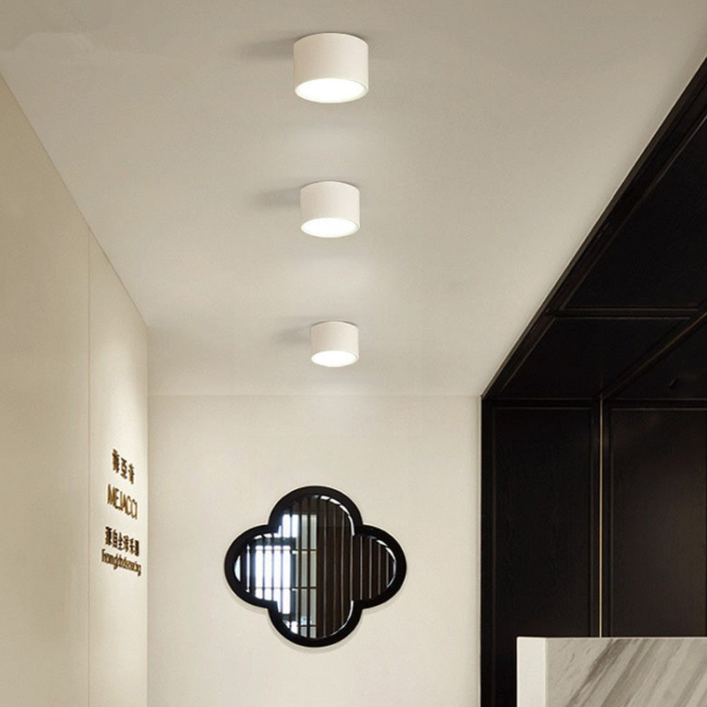 Downlight-Led-Lamp Dimmable Spot Ceiling Lamp Aluminum Surface Mounted High Brightness Down light 5W 12W Lighting AC110V 220V