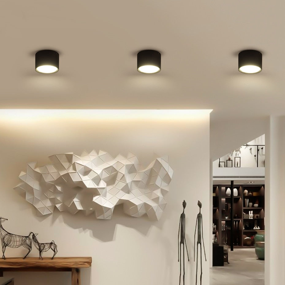 Downlight-Led-Lamp Dimmable Spot Ceiling Lamp Aluminum Surface Mounted High Brightness Down light 5W 12W Lighting AC110V 220V