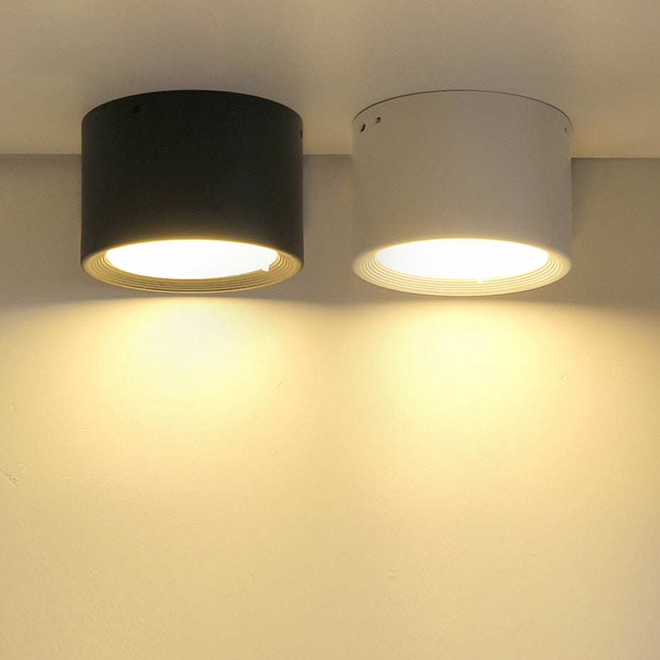 Downlight-Led-Lamp Dimmable Spot Ceiling Lamp Aluminum Surface Mounted High Brightness Down light 5W 12W Lighting AC110V 220V