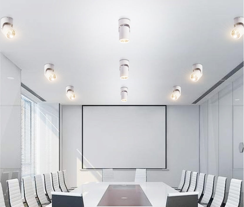 High quality dimmable Rotating LED Downlights Surface Mounted adjustment COB ac85-265V 10W 15W LED Ceiling Lamp Spot lights