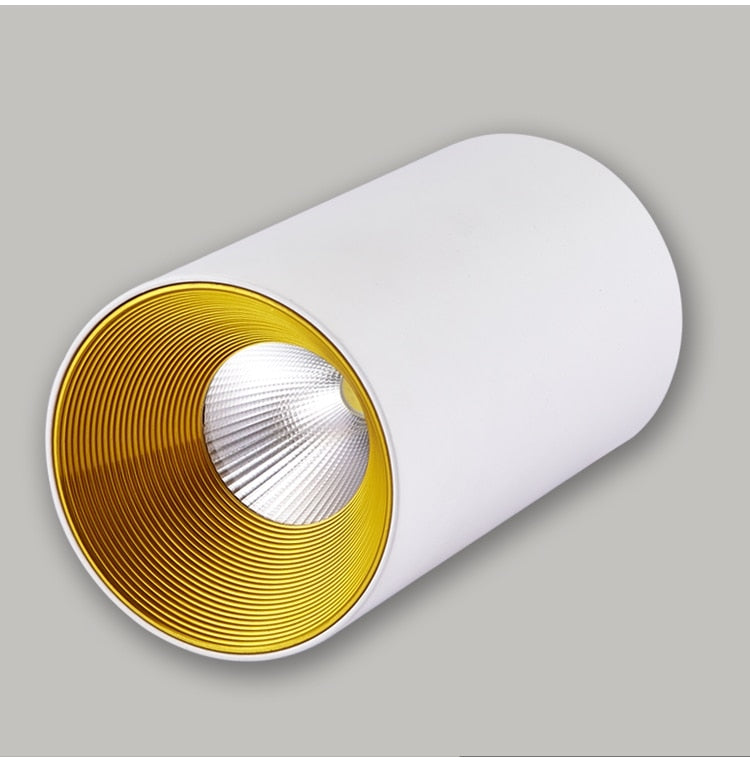 Surface mounted downlight round ceiling light living room ceiling led ceiling light aisle led downlight 7W 12W 15W spotlight