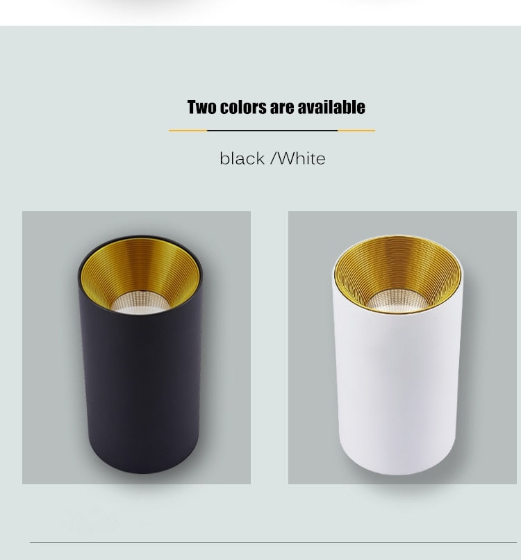 Surface mounted downlight round ceiling light living room ceiling led ceiling light aisle led downlight 7W 12W 15W spotlight