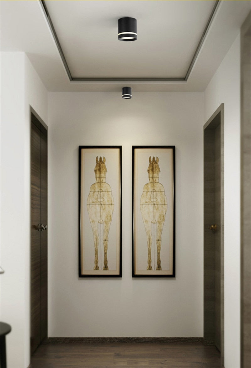 Surface mounted dimmable LED downlight 7W/10W/12W/15W COB LED ceiling spotlight AC85~265V LED Background Lamp Indoor Lighting