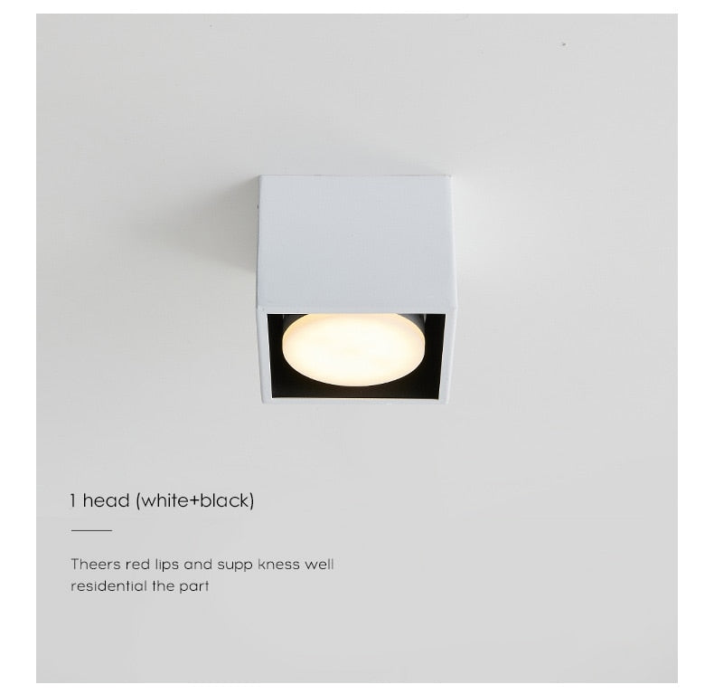 Surface mounted downlight living room no main light box ceiling light grille ceiling lamp aisle ceiling spotlight