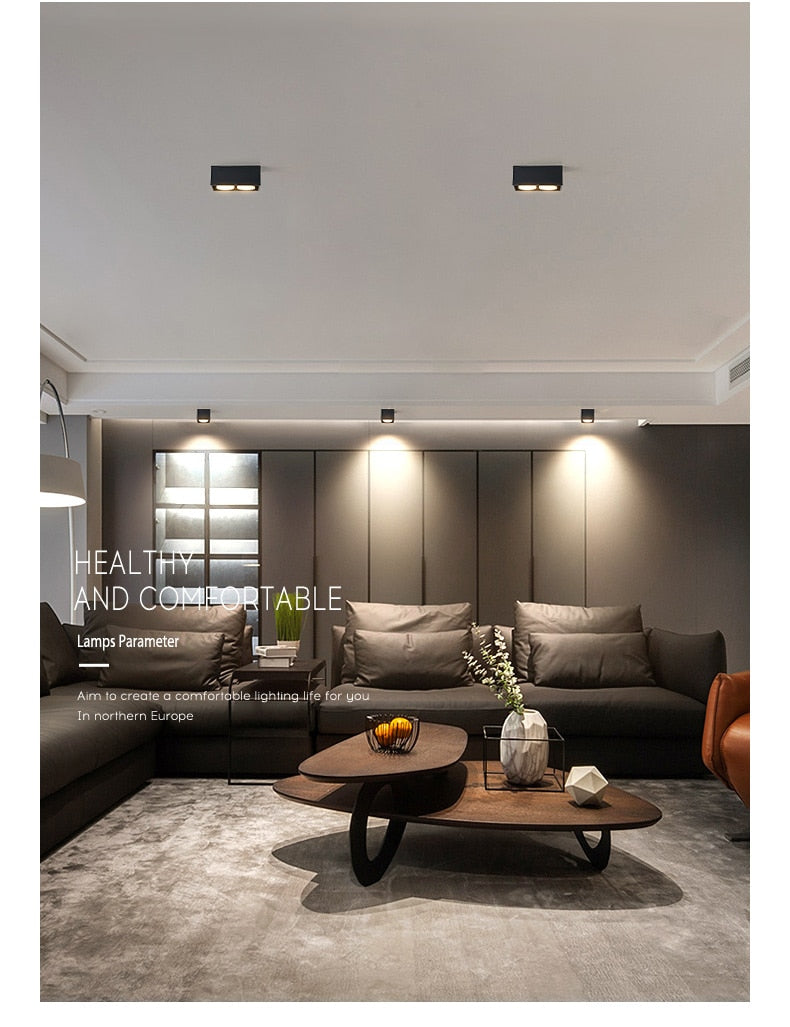 Surface mounted downlight living room no main light box ceiling light grille ceiling lamp aisle ceiling spotlight