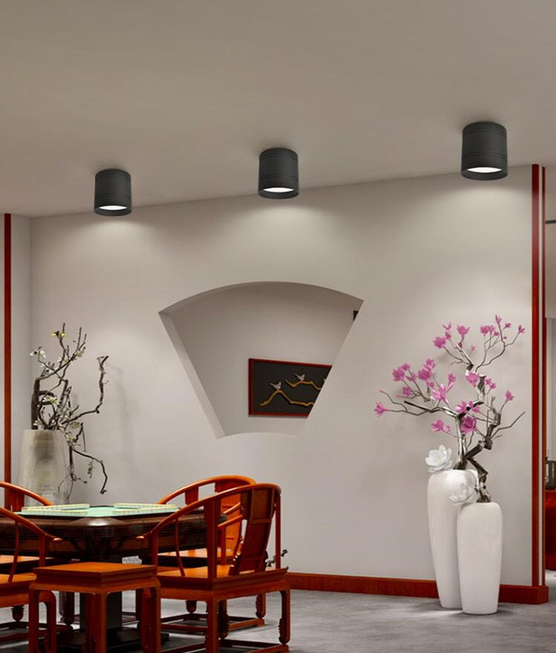 New style Dimmable LED Downlight 7W 10W 12W 15W 18W 20W LED Ceiling Spot Light AC110-220V No opening Ceiling lamp Cylinder