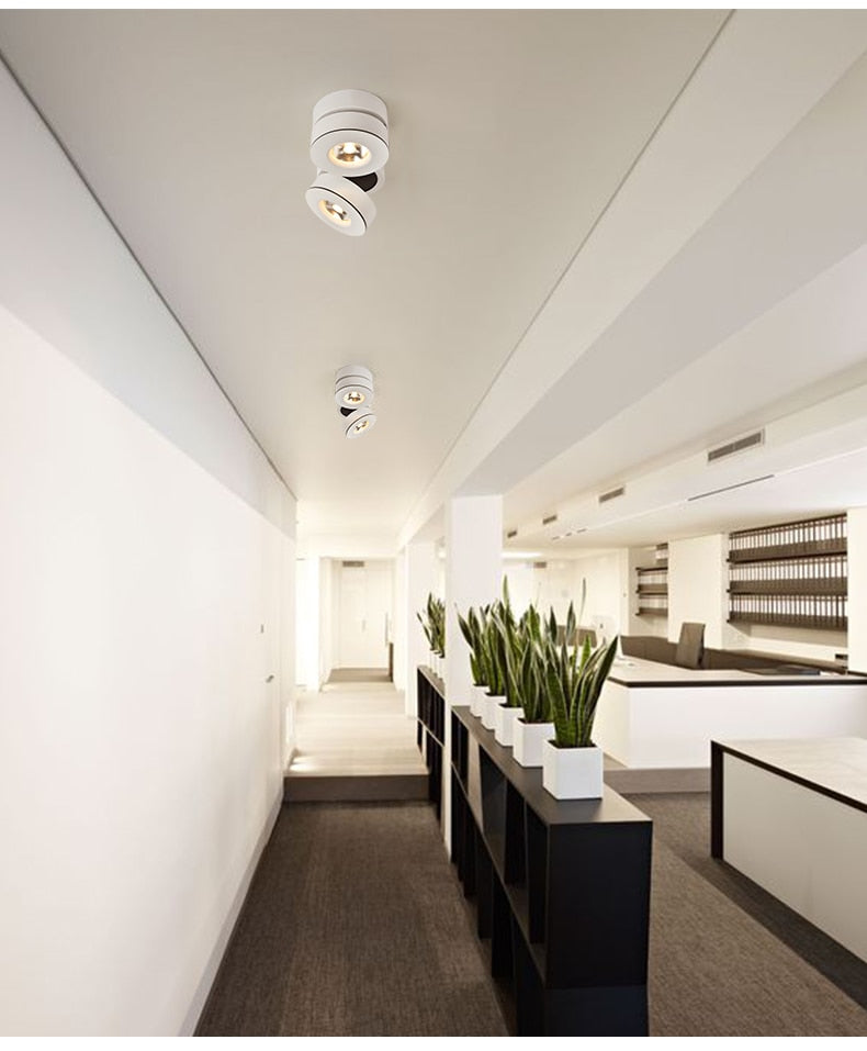 High quality adjustable bright 20W 30W LED downlight ceiling spotlight, COB lighting Spotlight