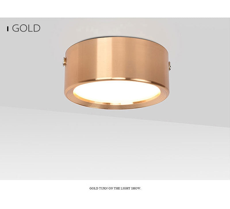 Surface Mounted LED Downlight 5W 7W 9W 12W 15W 18W 220V Ceiling Lamps Ultra Thin Driverless LED Spot Lights Book Rack Lighting