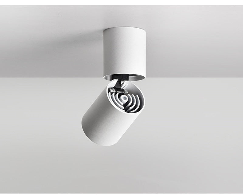 Anti-glare LED COB Downlight 12W 18W Dimmable AC110V-260V Ceiling Lamp 24W 24° Spot Light Aluminum For Store Home Lighting