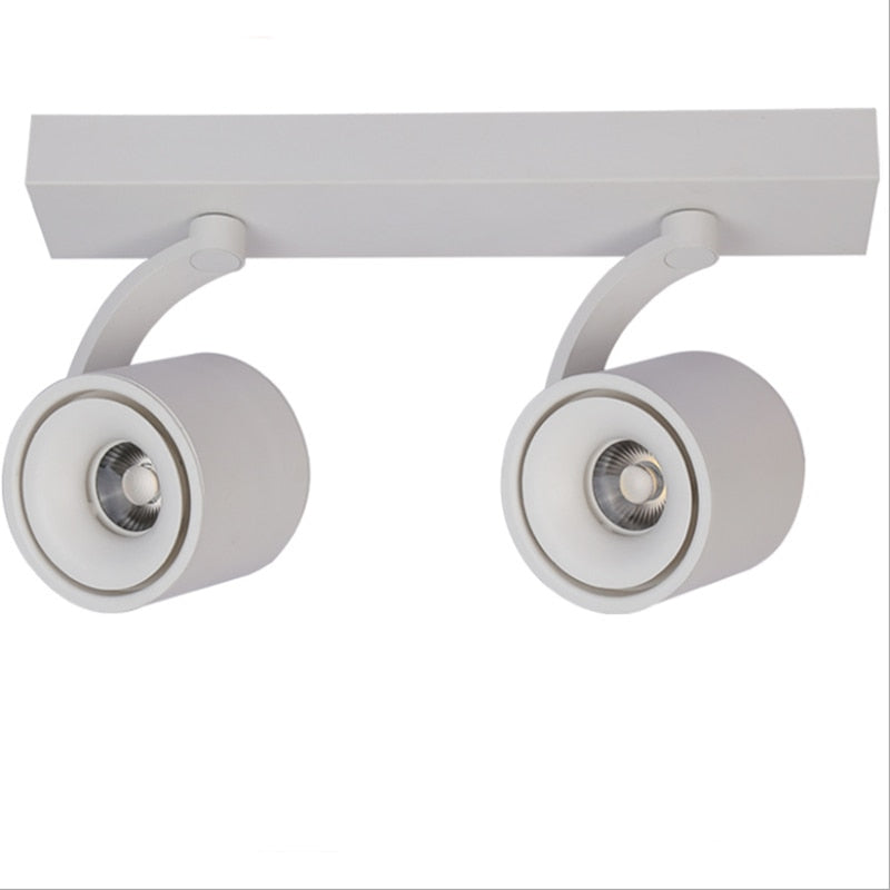 Downlight 12W/20W Led Downlight Surface Installation AC85-265V Adjustable Rotating Led Light