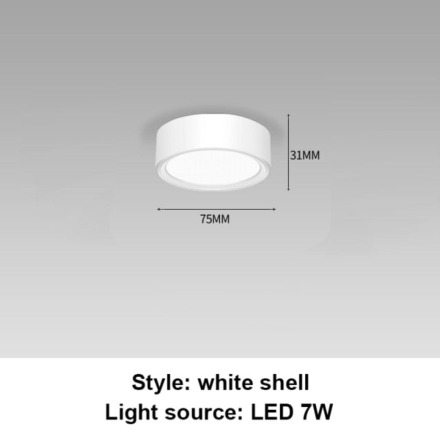Led Downlights Round Led Spot Light 220V 110V 5/12/15/18W Downlight Ceiling Spot Led Lighting Fixture for Home Kitchen Lamp