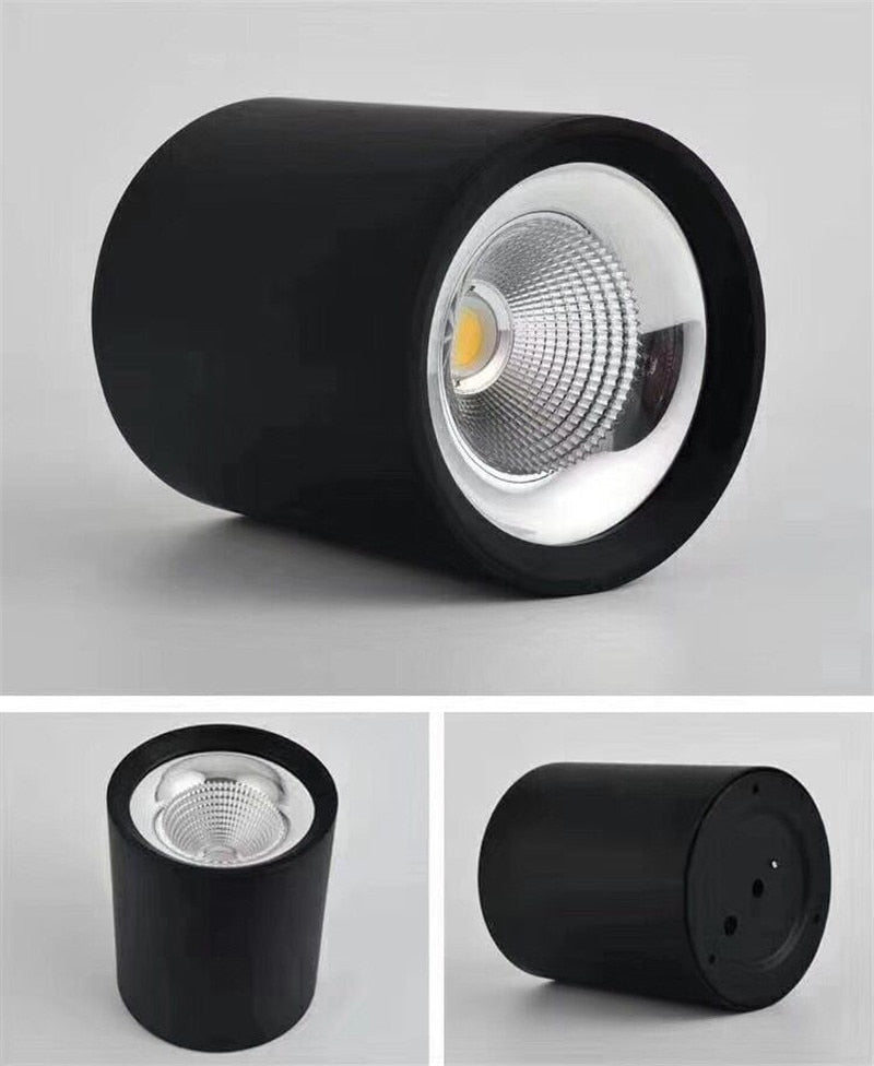 Surface Mounted High Quality Aluminum 10W LED Black White Body Ceiling LED Downlight 85-265V 10W For Shop Home Improvement