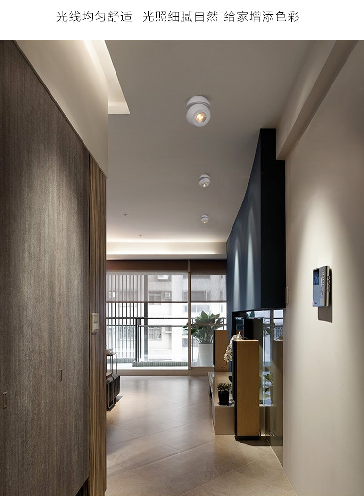 360 degree rotation 15W 30W LED Downlight dimmable spotlight AC110V 220V Lighting surface mounted LED Down Lights Indoor Light