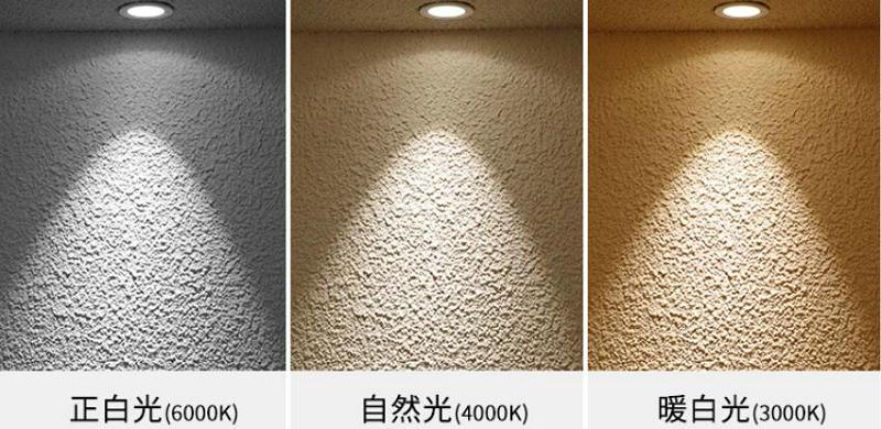 10pcs COB LED Downlight Ceiling 5W 10W 12W 15W 18W Warm white/cold white LED light 110V 220V 230V 240V - LED Lights For Sale : Affordable LED Solutions : Wholesale Prices